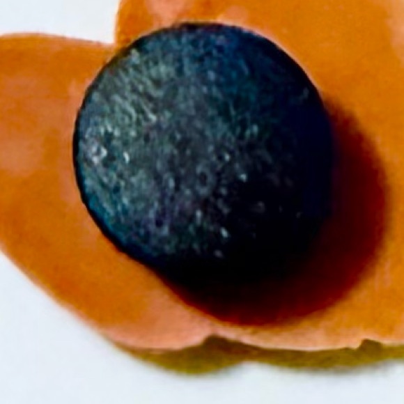 (10 for $10) SALE Jerry Croc Charm Shoe Charm Jibbit Disney Croc Charms - Picture 12 of 12